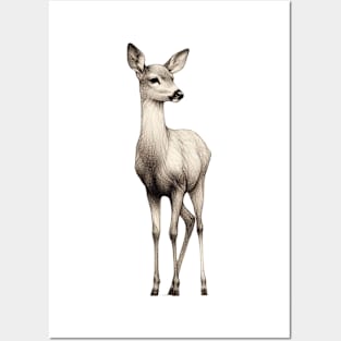 Essence of Deer Posters and Art